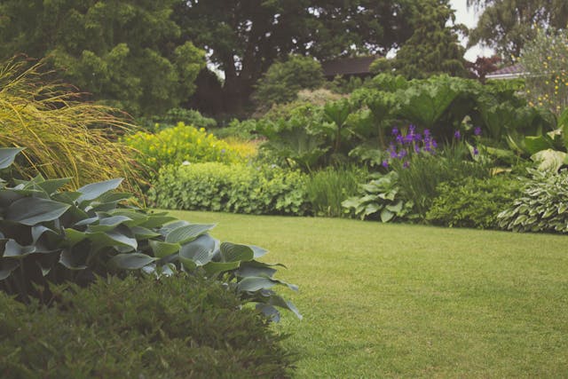 Tuingereedschapshop.nl: Alles wat je Nodig Hebt voor jouw Tuin