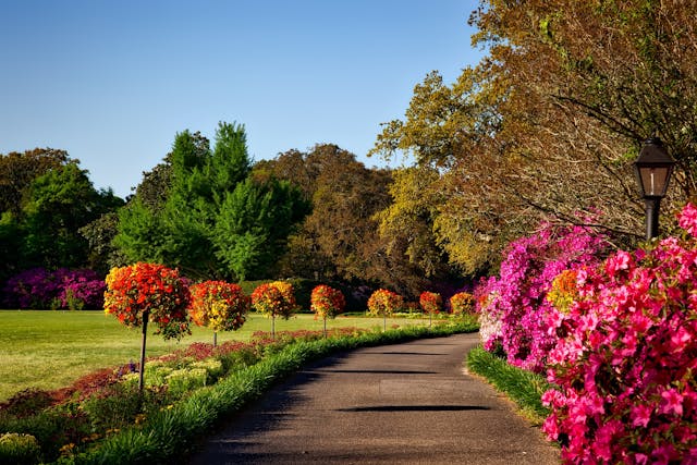 Ontdek de Wereld van Tuincentra en Groenrijk: Alles voor uw Tuin en Meer